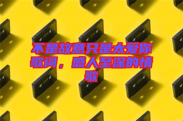 不是故意只是太愛你歌詞，感人至深的情歌