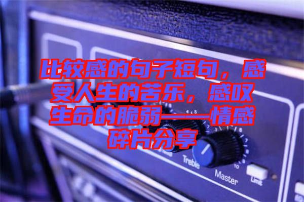 比較感的句子短句，感受人生的苦樂，感嘆生命的脆弱——情感碎片分享