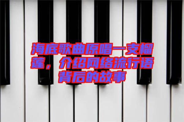 海底歌曲原唱一支榴蓮，介紹網(wǎng)絡(luò)流行語背后的故事