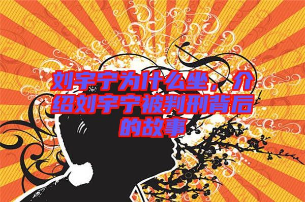 劉宇寧為什么坐，介紹劉宇寧被判刑背后的故事