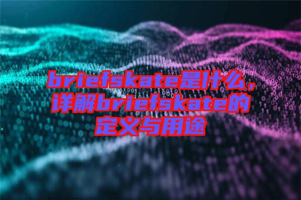 briefskate是什么，詳解briefskate的定義與用途