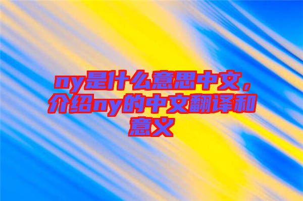ny是什么意思中文，介紹ny的中文翻譯和意義