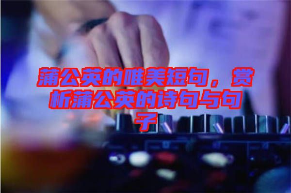 蒲公英的唯美短句，賞析蒲公英的詩句與句子