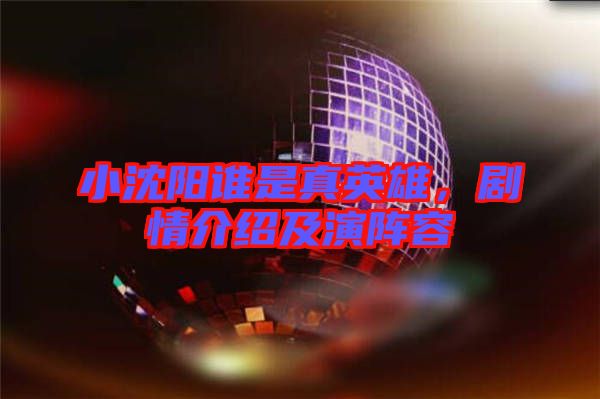 小沈陽誰是真英雄，劇情介紹及演陣容