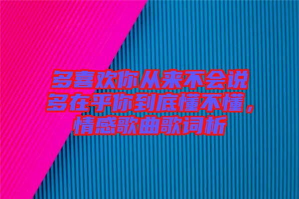多喜歡你從來(lái)不會(huì)說(shuō)多在乎你到底懂不懂，情感歌曲歌詞析
