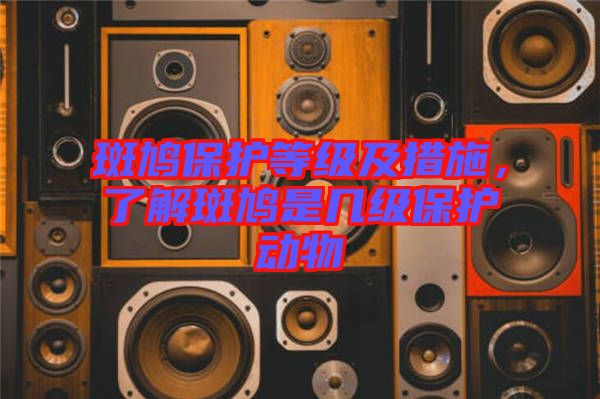 斑鳩保護(hù)等級(jí)及措施，了解斑鳩是幾級(jí)保護(hù)動(dòng)物