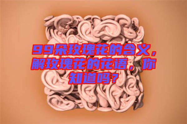 99朵玫瑰花的含義，解玫瑰花的花語，你知道嗎？