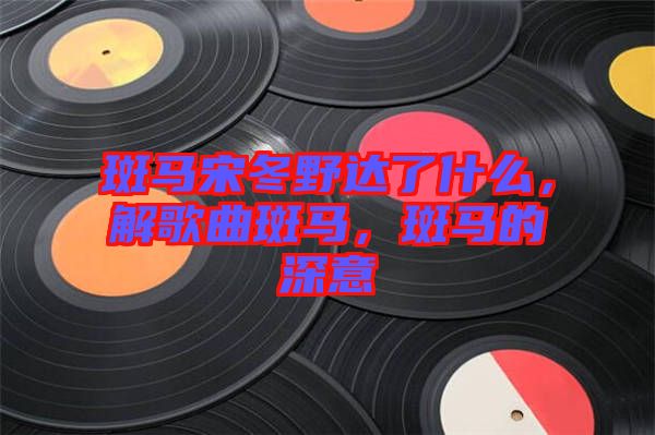 斑馬宋冬野達了什么，解歌曲斑馬，斑馬的深意