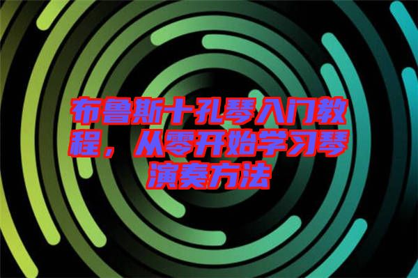 布魯斯十孔琴入門教程，從零開始學(xué)習(xí)琴演奏方法
