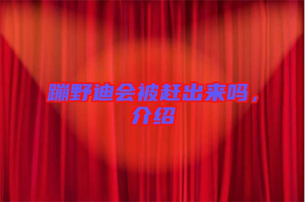 蹦野迪會(huì)被趕出來嗎，介紹