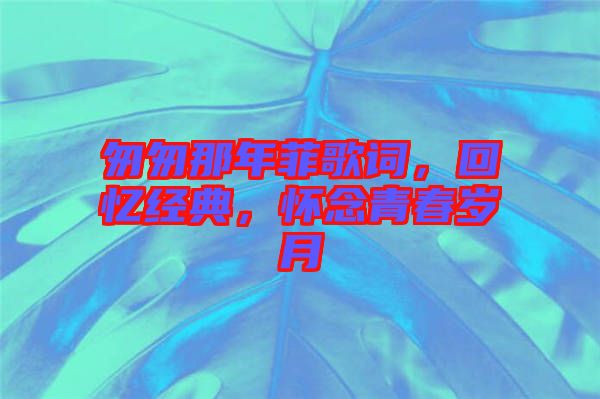 匆匆那年菲歌詞，回憶經(jīng)典，懷念青春歲月