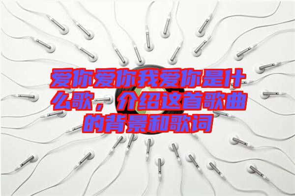 愛你愛你我愛你是什么歌，介紹這首歌曲的背景和歌詞