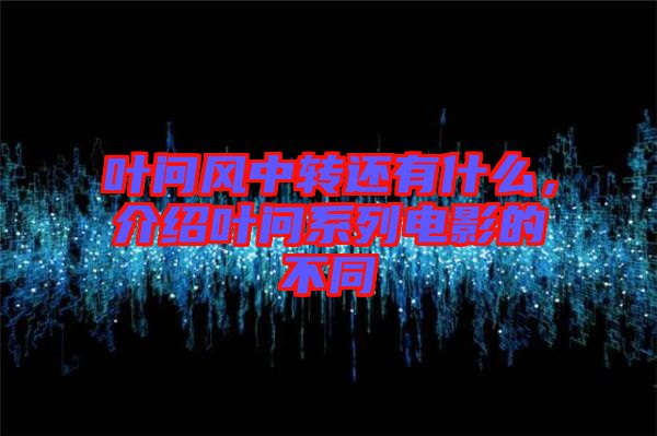 葉問風(fēng)中轉(zhuǎn)還有什么，介紹葉問系列電影的不同
