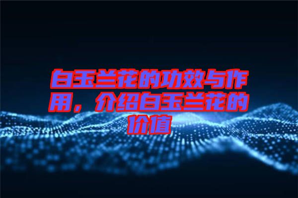 白玉蘭花的功效與作用，介紹白玉蘭花的價值