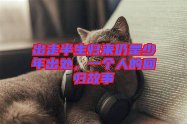 出走半生歸來仍是少年出處，一個(gè)人的回歸故事