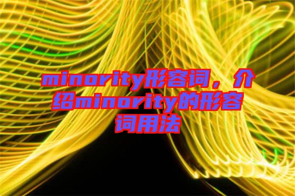 minority形容詞，介紹minority的形容詞用法