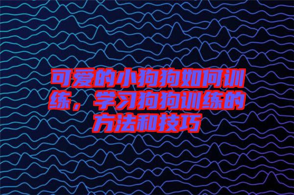 可愛的小狗狗如何訓(xùn)練，學(xué)習(xí)狗狗訓(xùn)練的方法和技巧