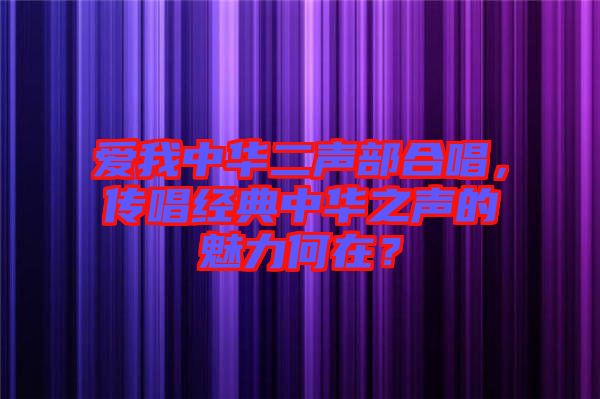 愛我中華二聲部合唱，傳唱經(jīng)典中華之聲的魅力何在？
