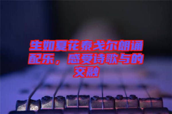 生如夏花泰戈?duì)柪收b配樂(lè)，感受詩(shī)歌與的交融