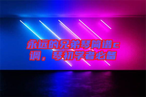 永遠(yuǎn)的兄弟琴簡(jiǎn)譜c調(diào)，琴初學(xué)者必備