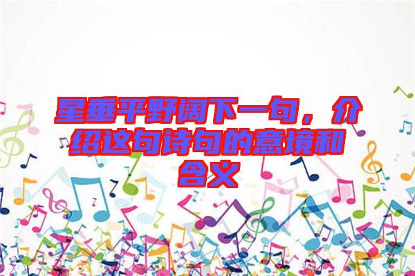 星垂平野闊下一句，介紹這句詩句的意境和含義