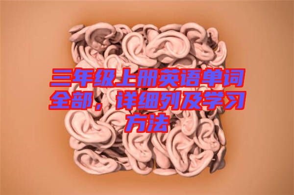 三年級上冊英語單詞全部，詳細(xì)列及學(xué)習(xí)方法