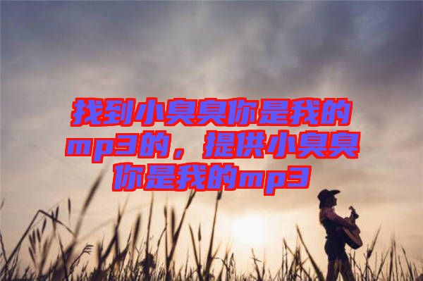 找到小臭臭你是我的mp3的，提供小臭臭你是我的mp3