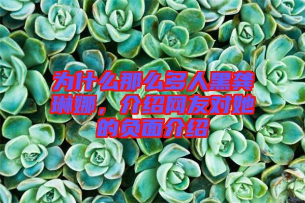 為什么那么多人黑龔琳娜，介紹網(wǎng)友對(duì)她的負(fù)面介紹