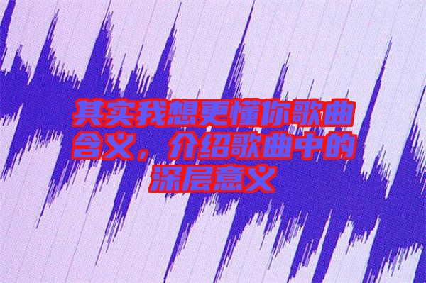 其實(shí)我想更懂你歌曲含義，介紹歌曲中的深層意義