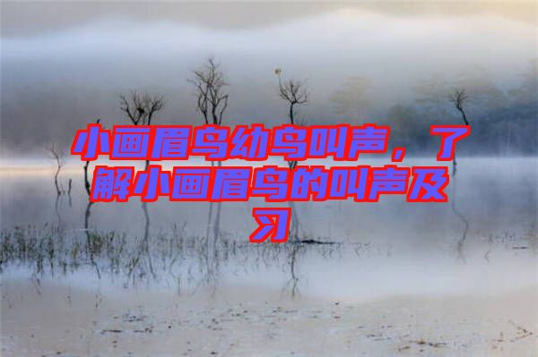 小畫(huà)眉鳥(niǎo)幼鳥(niǎo)叫聲，了解小畫(huà)眉鳥(niǎo)的叫聲及習(xí)