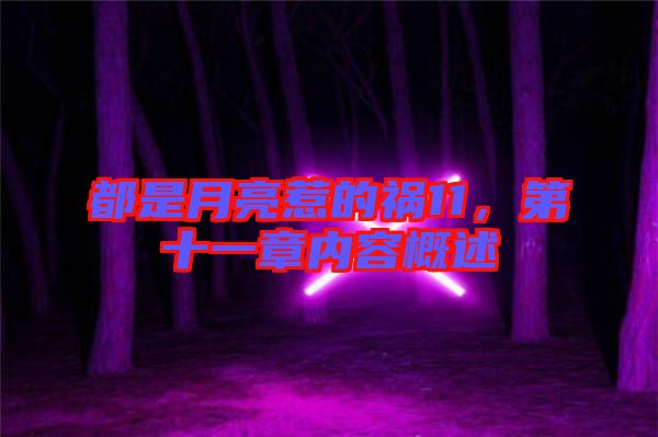 都是月亮惹的禍11，第十一章內(nèi)容概述