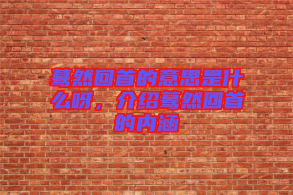 驀然回首的意思是什么呀，介紹驀然回首的內(nèi)涵