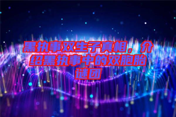 黑執(zhí)事雙生子真相，介紹黑執(zhí)事中的雙胞胎謎團