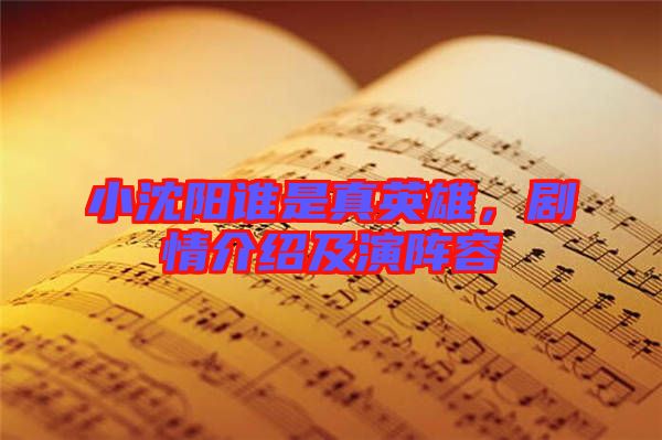 小沈陽誰是真英雄，劇情介紹及演陣容
