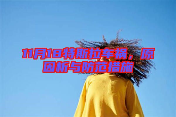 11月18特斯拉車禍，原因析與防范措施