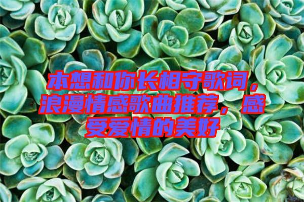 本想和你長相守歌詞，浪漫情感歌曲推薦，感受愛情的美好