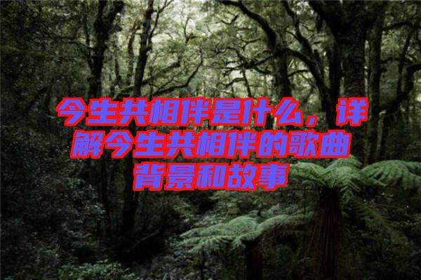 今生共相伴是什么，詳解今生共相伴的歌曲背景和故事