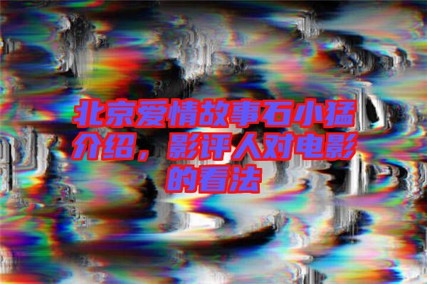 北京愛情故事石小猛介紹，影評人對電影的看法
