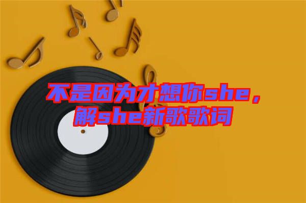 不是因?yàn)椴畔肽鉺he，解she新歌歌詞