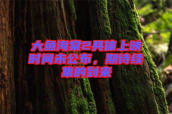 大魚(yú)海棠2具體上映時(shí)間未公布，期待續(xù)集的到來(lái)