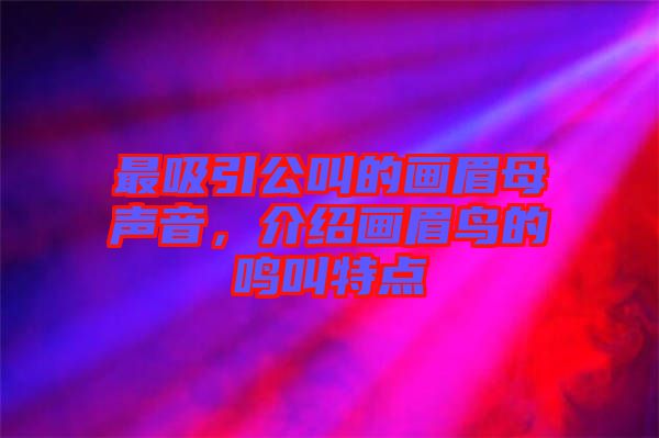 最吸引公叫的畫(huà)眉母聲音，介紹畫(huà)眉鳥(niǎo)的鳴叫特點(diǎn)