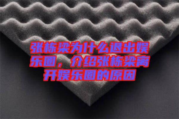 張棟梁為什么退出娛樂圈，介紹張棟梁離開娛樂圈的原因