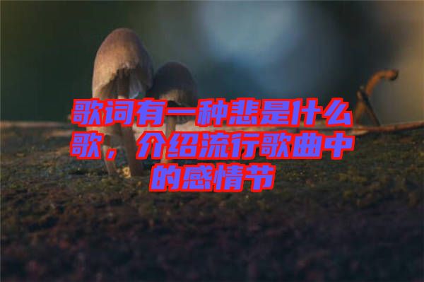 歌詞有一種悲是什么歌，介紹流行歌曲中的感情節(jié)