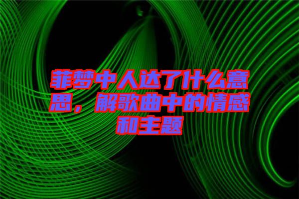 菲夢中人達(dá)了什么意思，解歌曲中的情感和主題