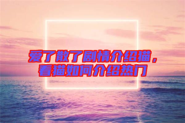 愛了散了劇情介紹貓，看貓如何介紹熱門