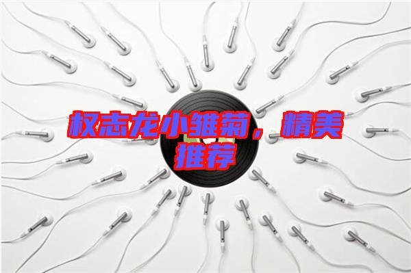 權(quán)志龍小雛菊，精美推薦