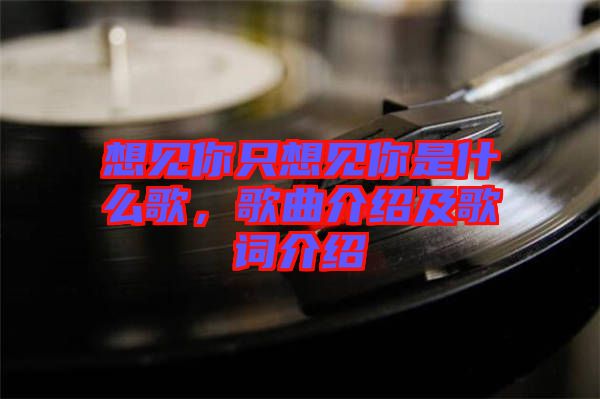 想見你只想見你是什么歌，歌曲介紹及歌詞介紹