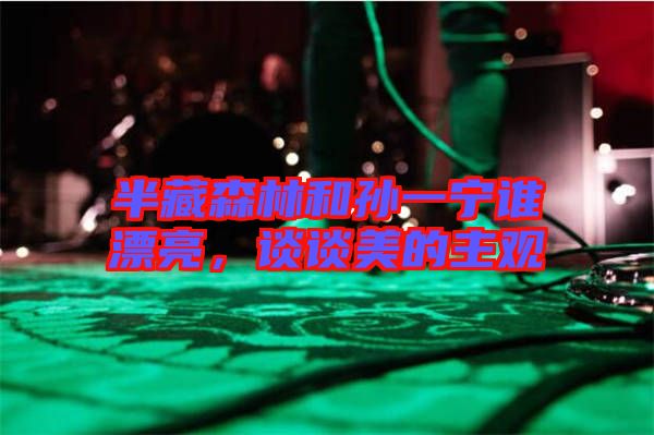 半藏森林和孫一寧誰漂亮，談?wù)劽赖闹饔^