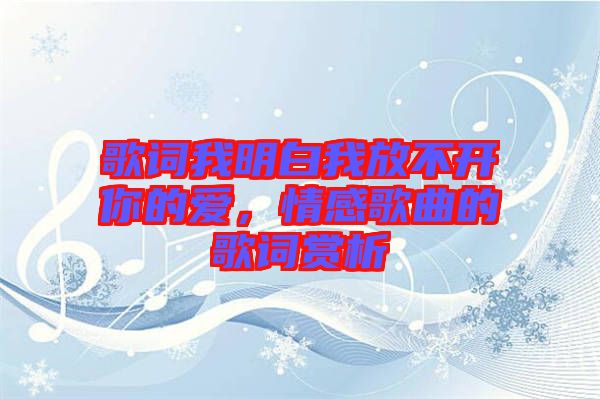歌詞我明白我放不開你的愛，情感歌曲的歌詞賞析