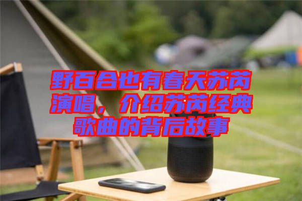 野百合也有春天蘇芮演唱，介紹蘇芮經(jīng)典歌曲的背后故事